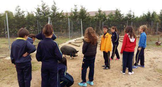 Foto de grupo de personas con animales