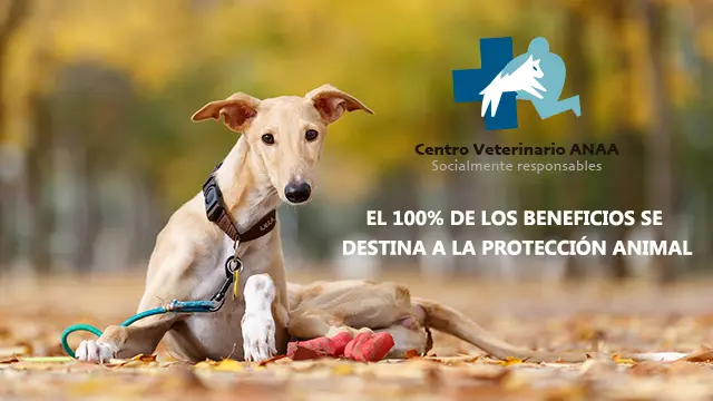 Cartel de clínica