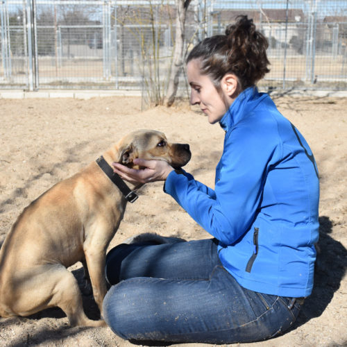 Voluntario con perro