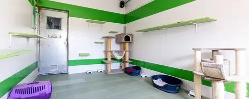 Interior de una gatera