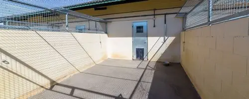 Patio exterior del chenil