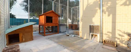 Zona exterior de conejeras