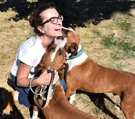 Voluntaria con perros