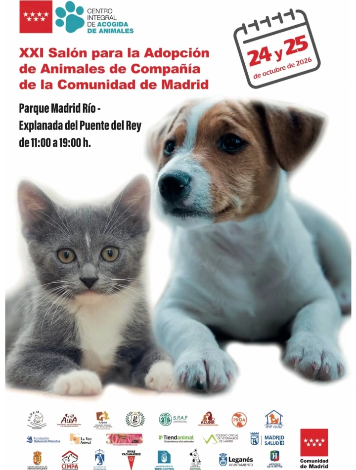 Cartel salón