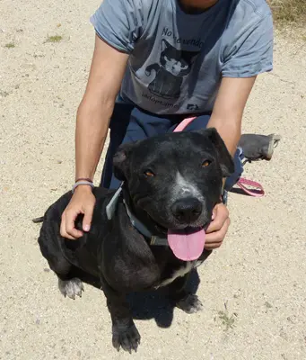 Pankeke con voluntario