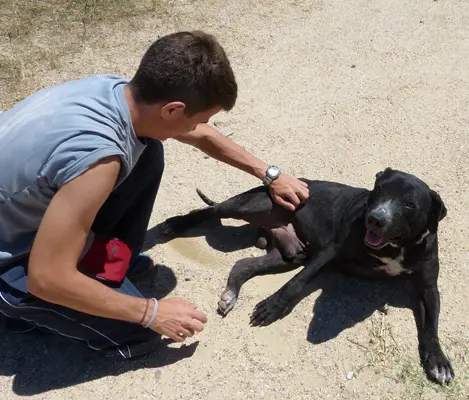 Pankeke con voluntario