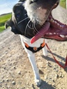 Imagen de B25.121