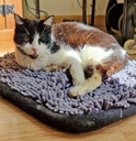 Imagen de GAC23.539