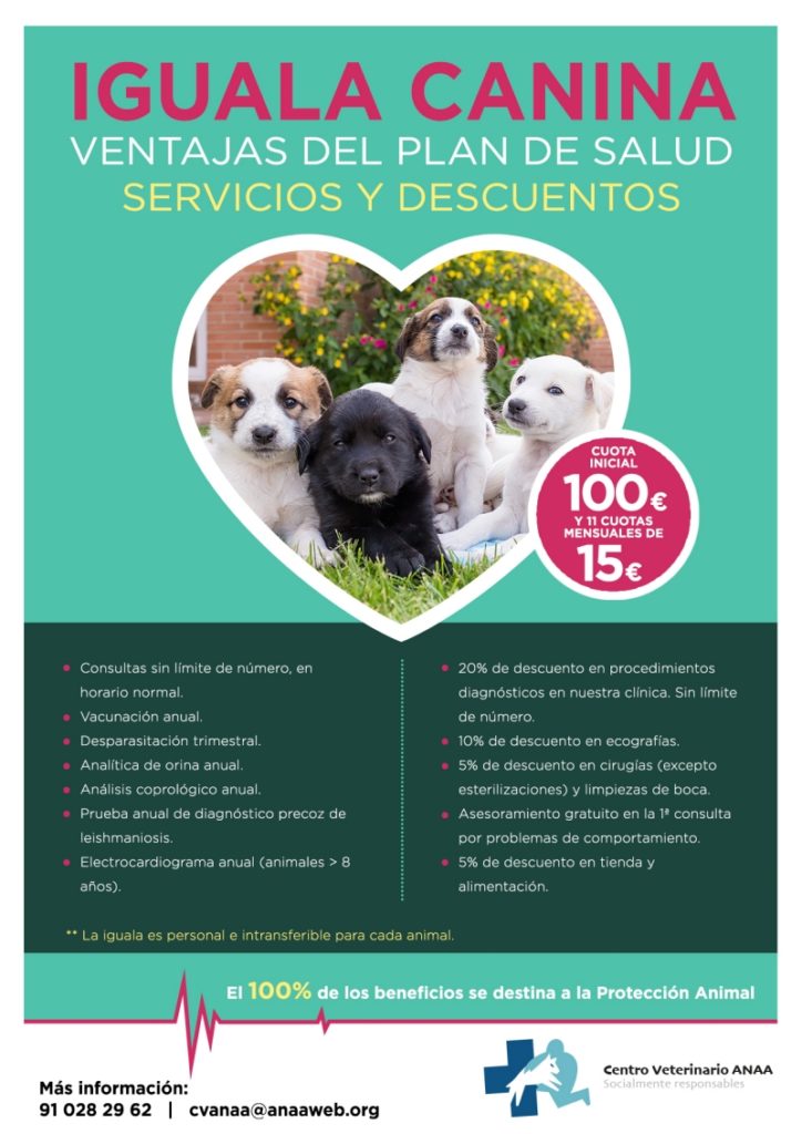 Centro Veterinario ANAA: Igualas Canina y Felina - Asociación Nacional  Amigos de los Animales